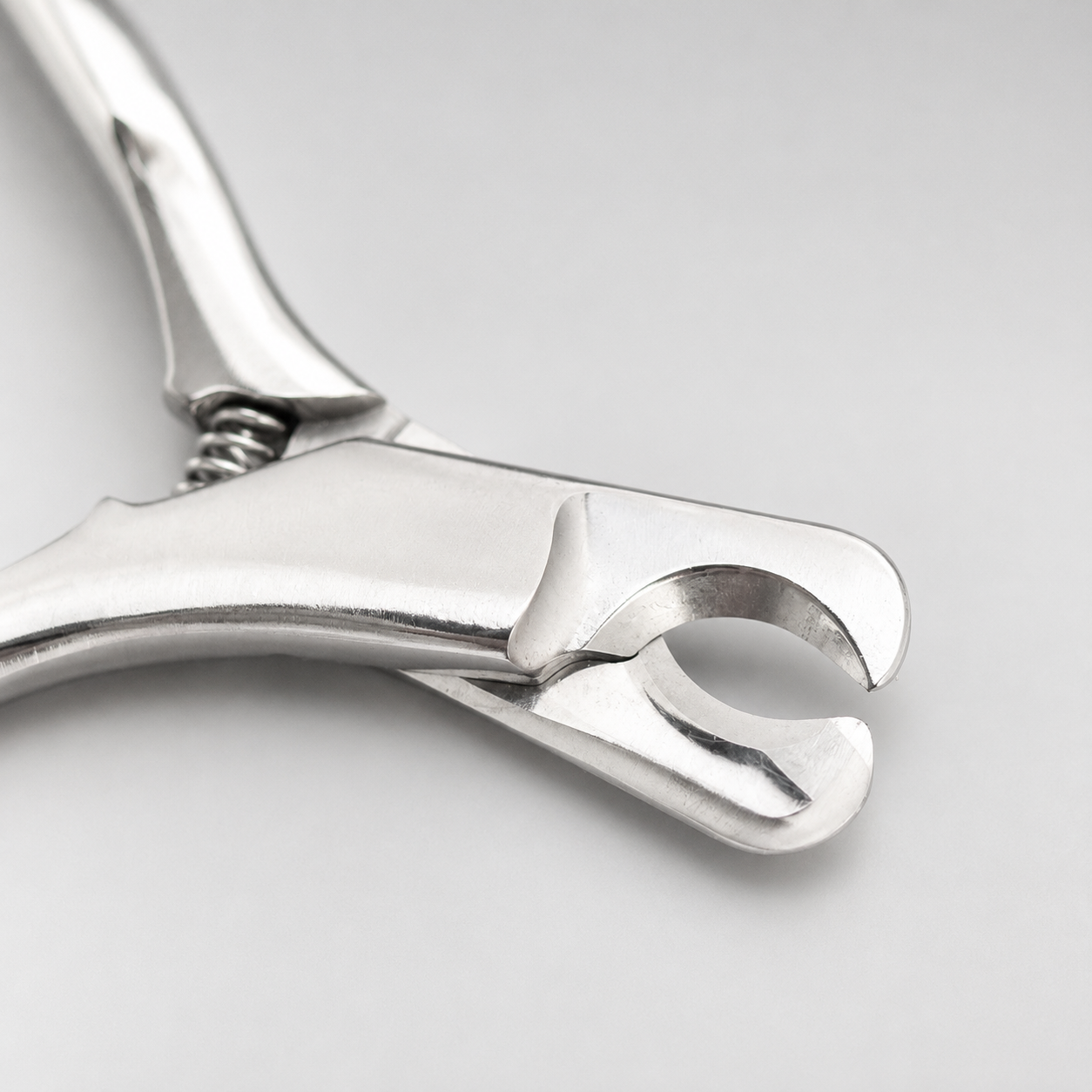 Close-up of the sharp stainless steel blades of the Purrttie cat nail clipper