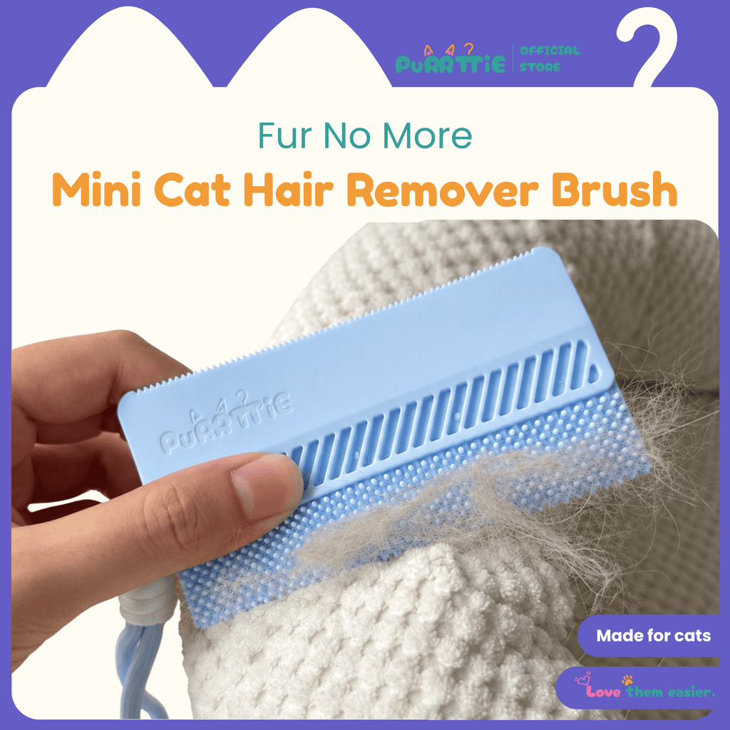 Mini Cat Hair Remover Brush