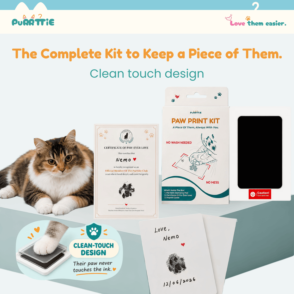 No Mess Cat Paw Print Kit