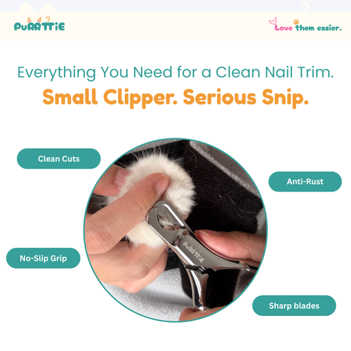 Full Stainless Steel Cat Nail Clipper