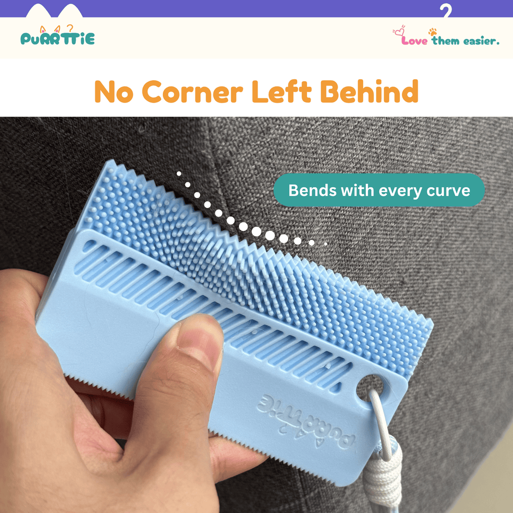 Mini Cat Hair Remover Brush