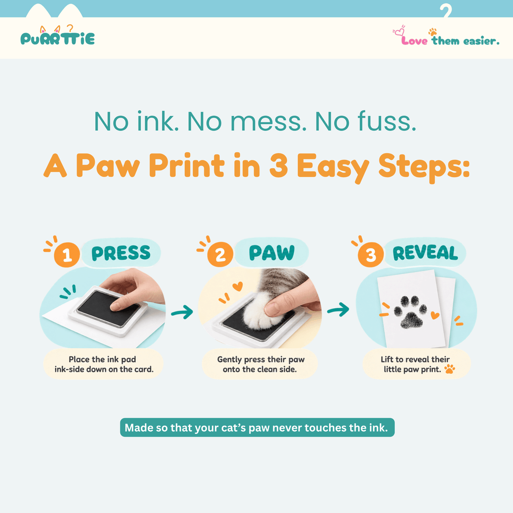 No Mess Cat Paw Print Kit
