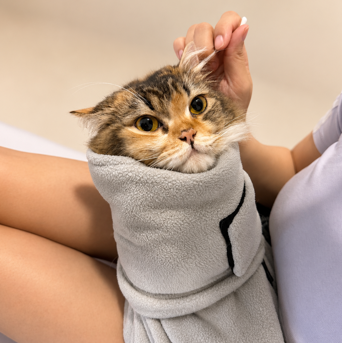 Calico cat wrapped snugly in the Purrttie Snug Pro Cat Wrap, resting calmly