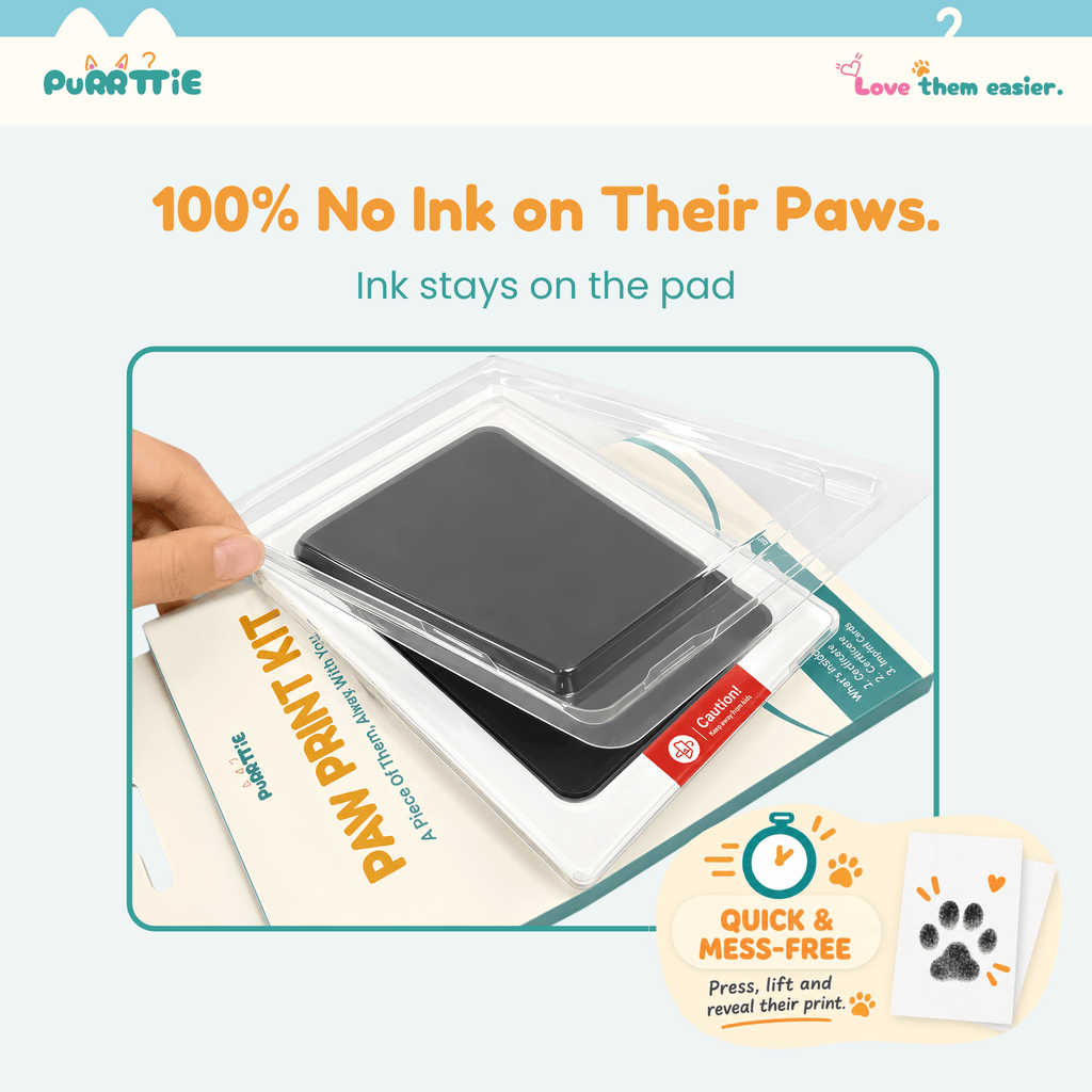 No Mess Cat Paw Print Kit