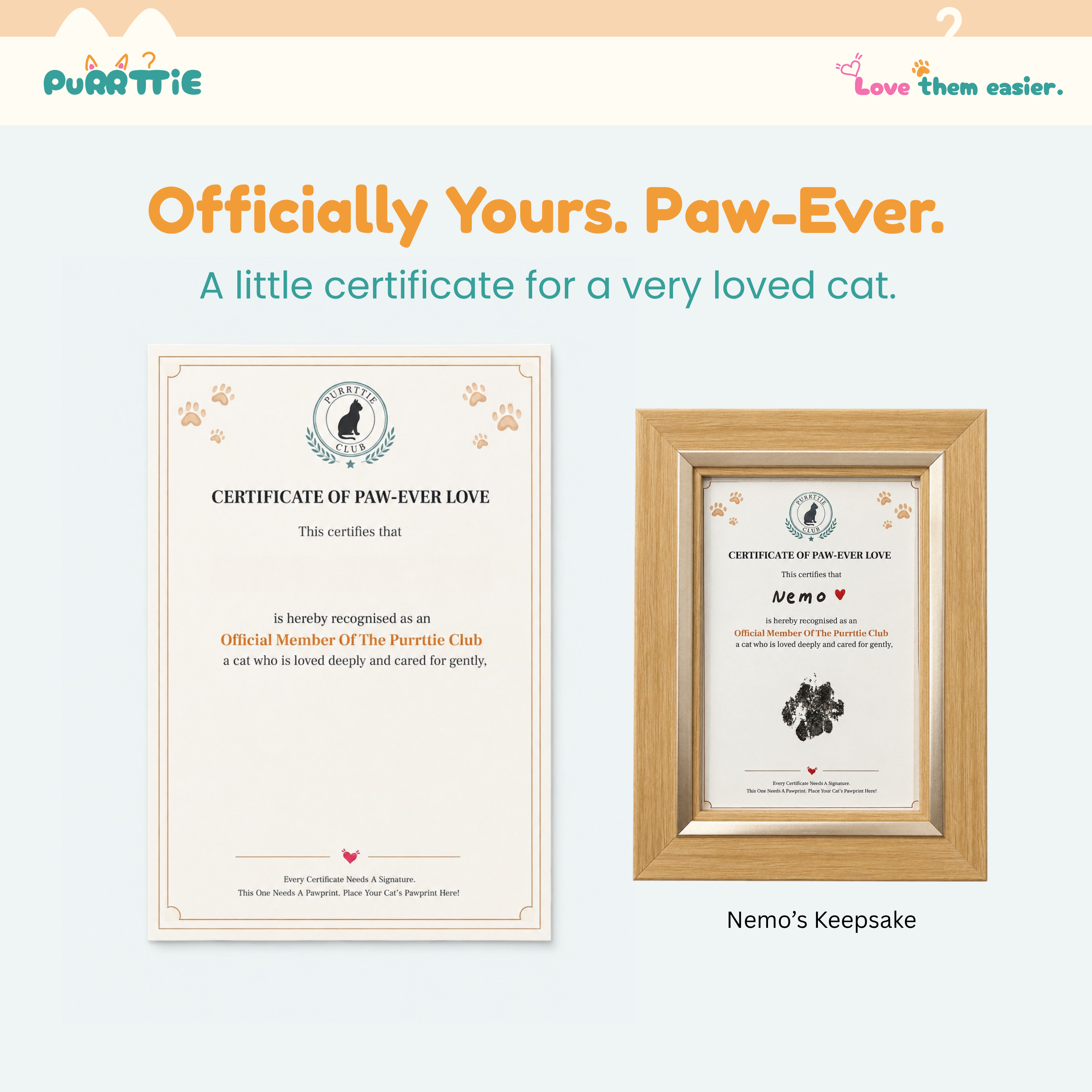 No Mess Cat Paw Print Kit