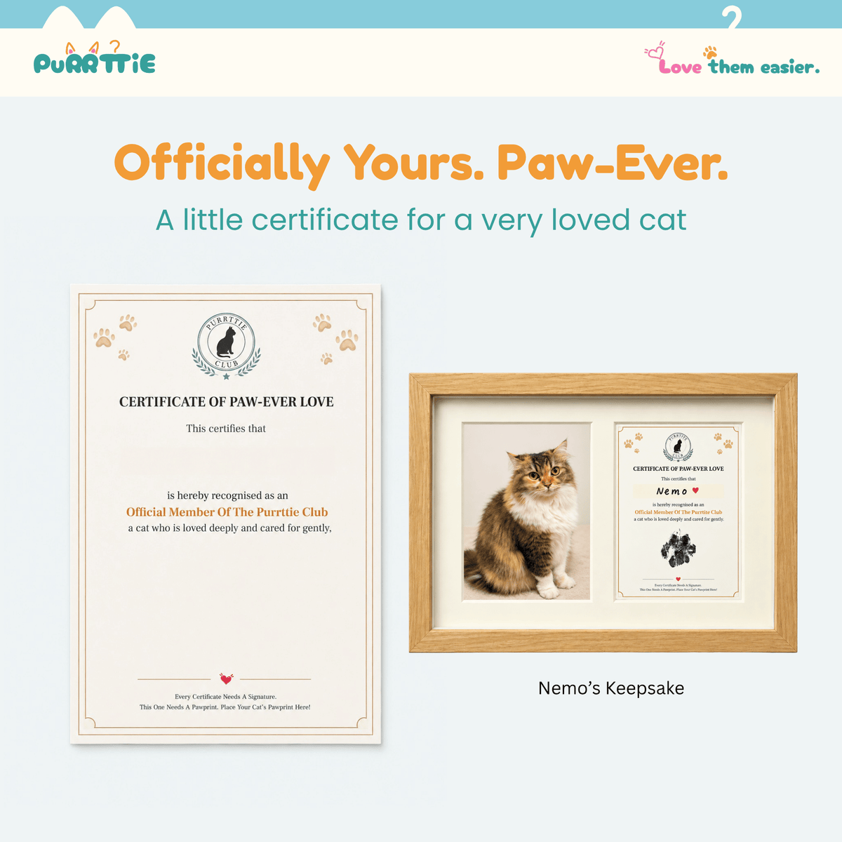 No Mess Cat Paw Print Kit