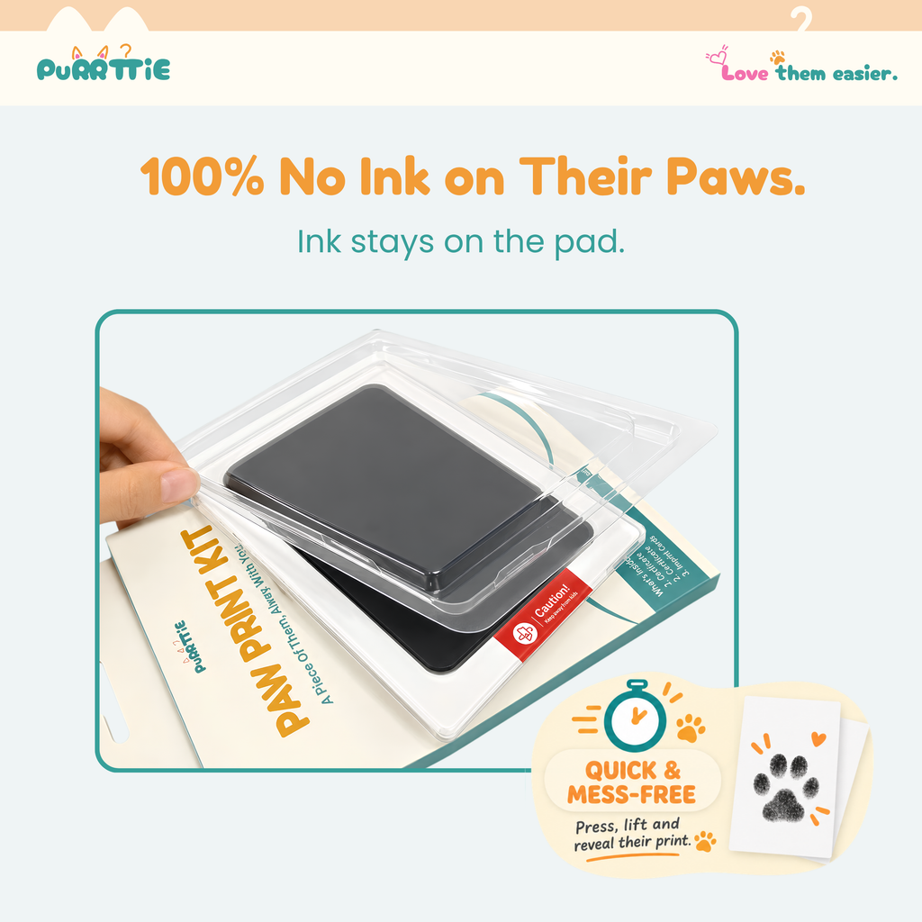 No Mess Cat Paw Print Kit