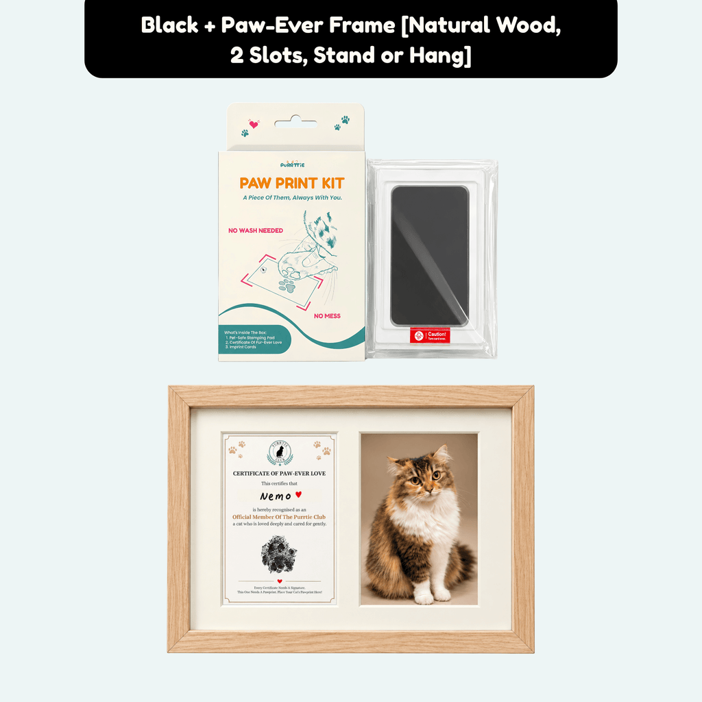 No Mess Cat Paw Print Kit