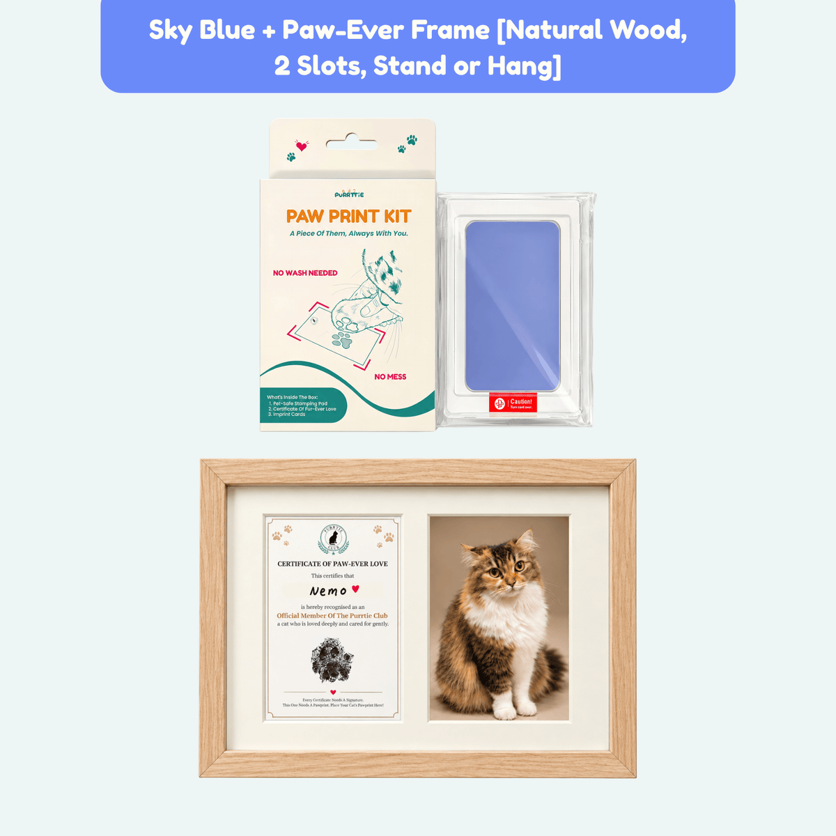 No Mess Cat Paw Print Kit