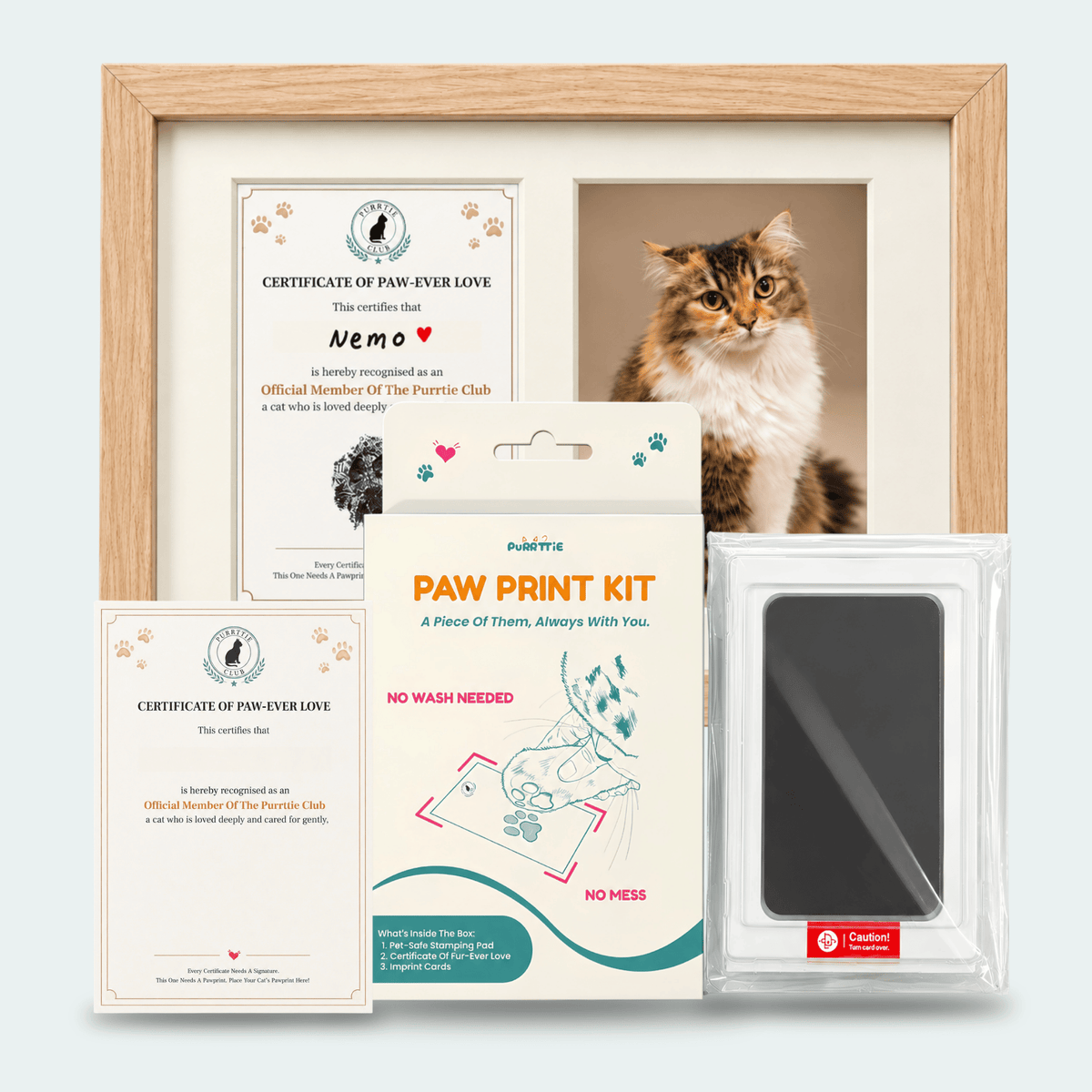 No Mess Cat Paw Print Kit